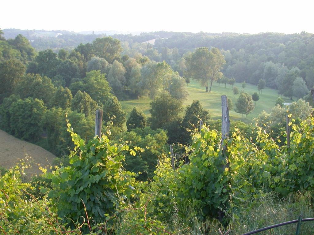 Villa Bellaria B&B Alseno Extérieur photo